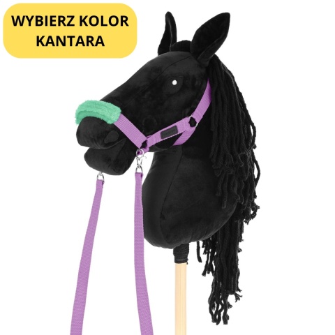 Hobby Horse Skippi A3 czarny – lawendowy kantar