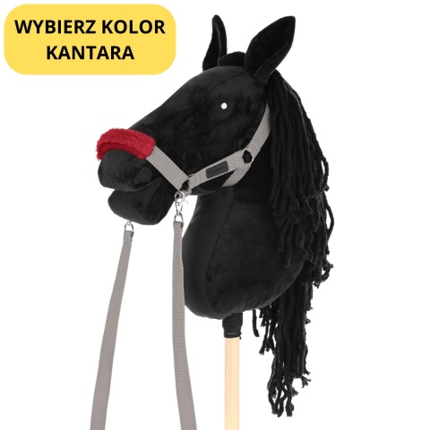 Hobby Horse Skippi A3 czarny – szary kantar
